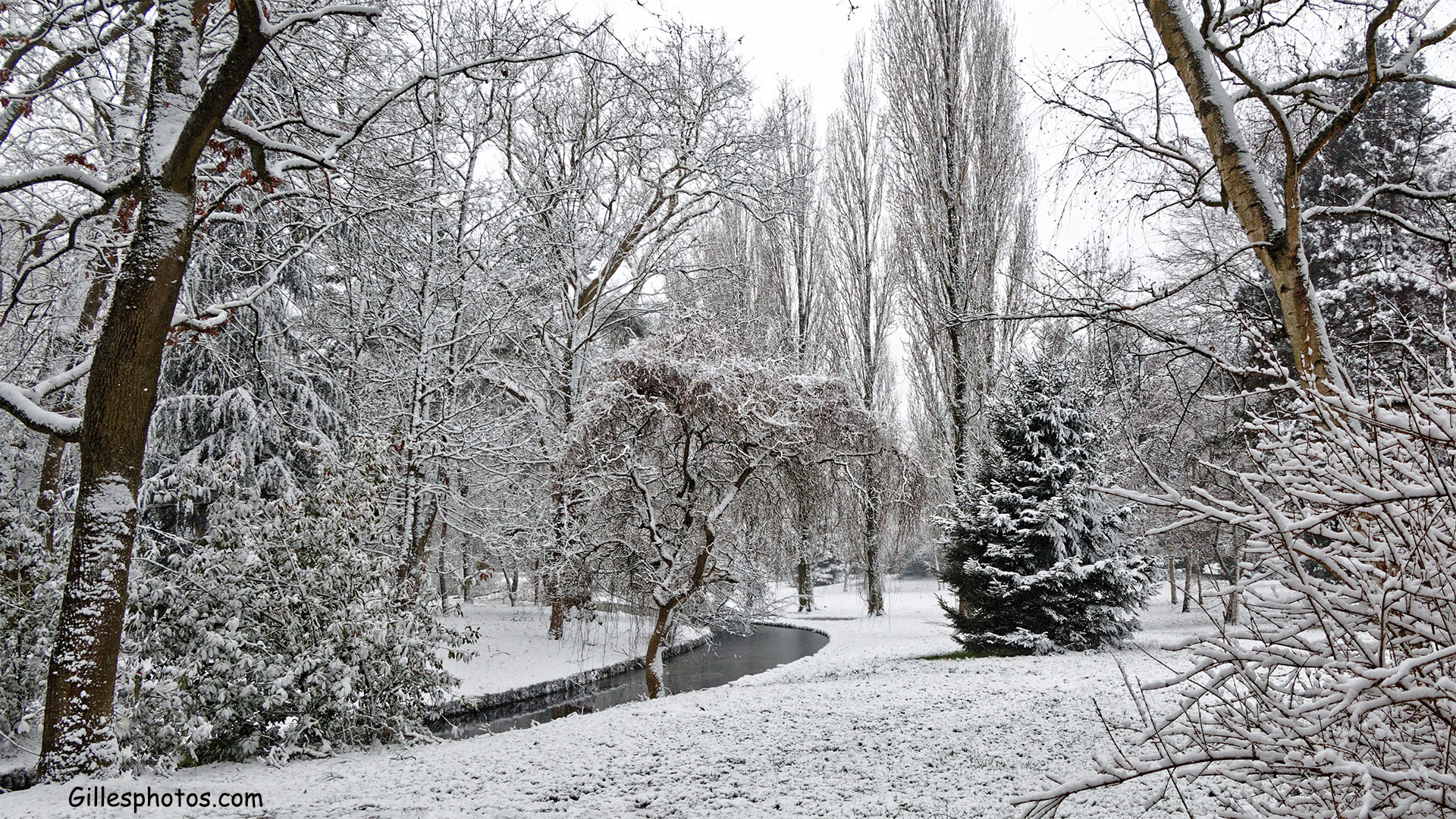Janvier 2021 : 1 jour de neige dans le parc de Trappes 